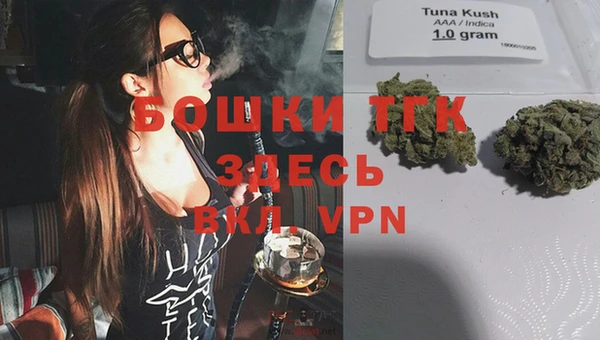 спиды Рославль