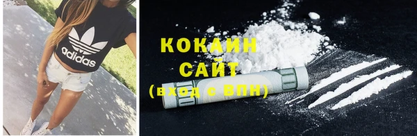 спиды Инта