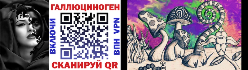даркнет сайт Иннополис Псилоцибиновые грибы Psilocybe